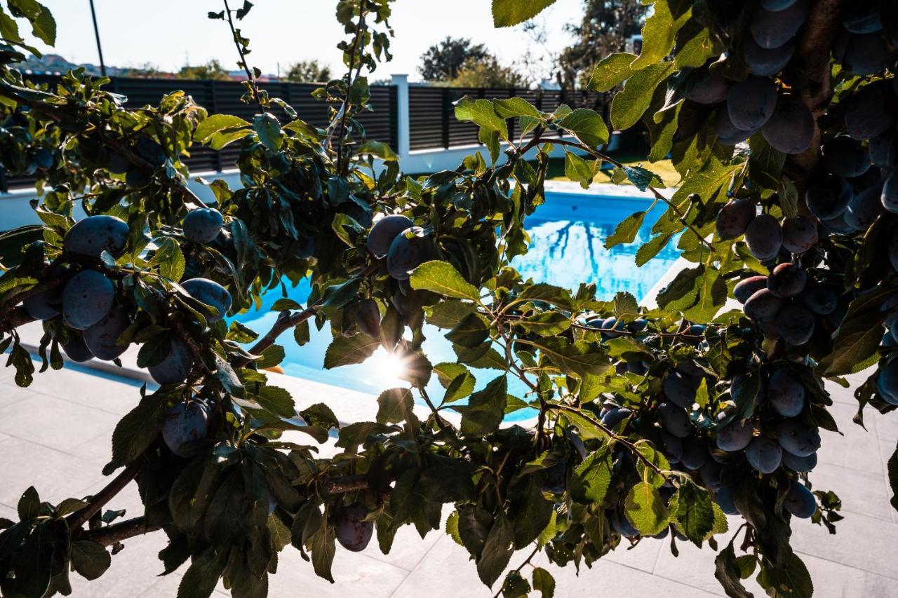 Villa Margita Split Bagian luar foto