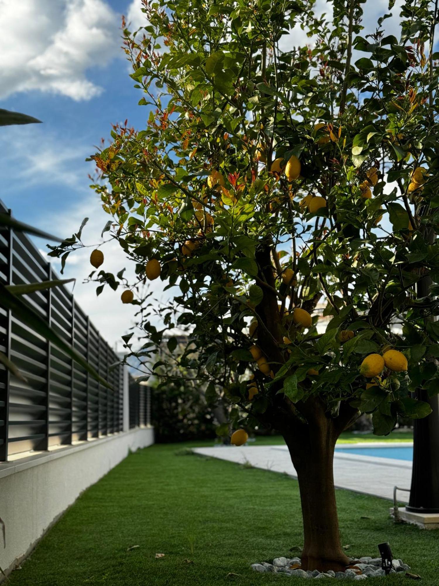 Villa Margita Split Bagian luar foto